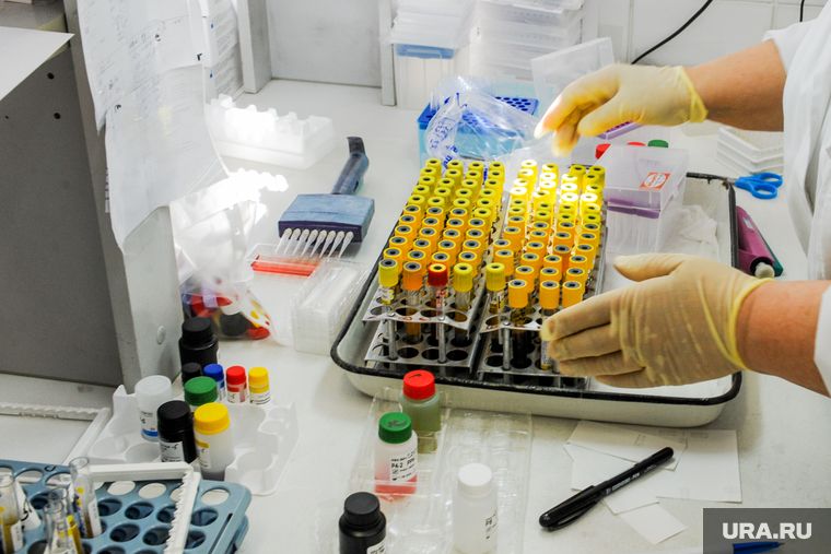 Минобороны РФ: лаборатории Украины работали с чумой и дизентерией