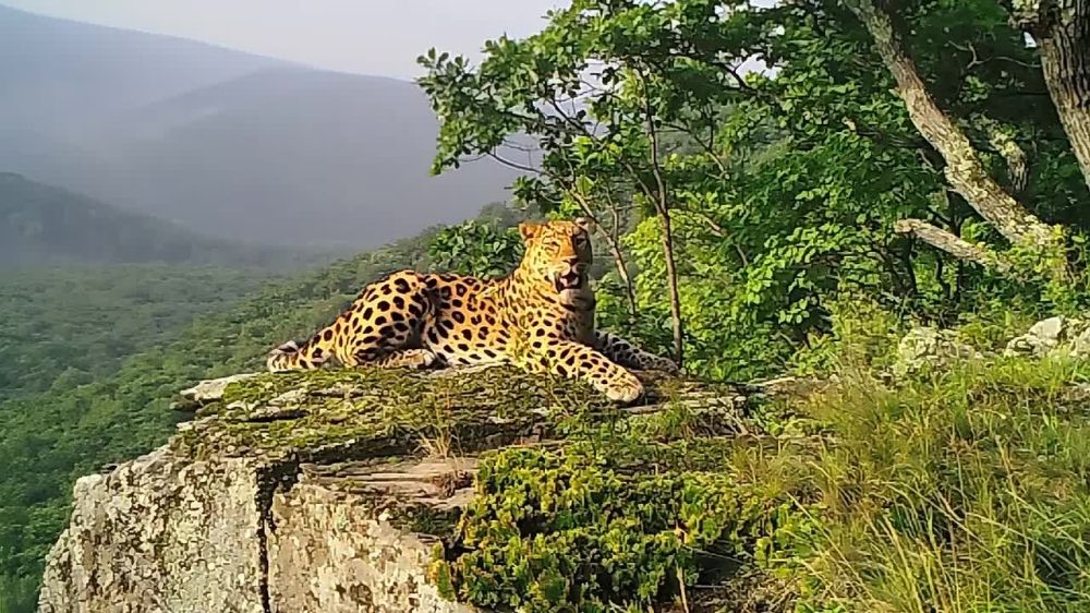 ������ �������!. � ������������ ����� "����� ��������" � �������� ����������� ����������� ����������� � ������ ����� �� ��������� ��������� ���������������� �������� �� ������ ����������