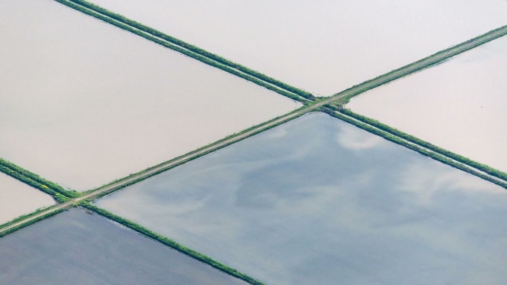 � �������� � ��������� �������� ����� �� �������� ���������� ���� ����� ������ � ������