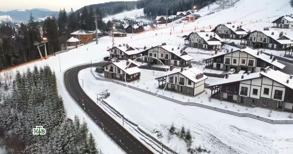 ������ �����: ���������� ������ �������� �� ������ ������� ������ �� �����������