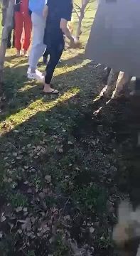           ,     