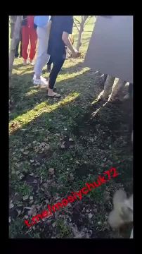          "" ,    