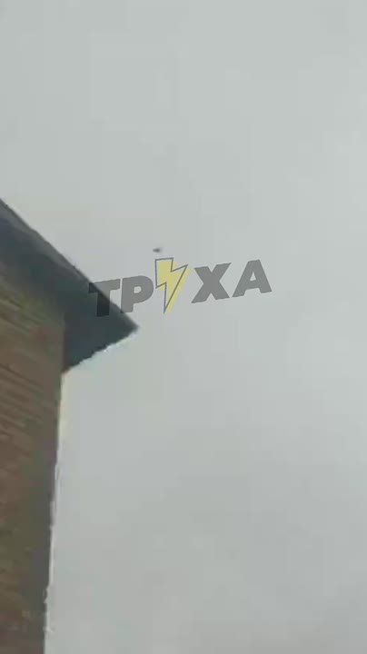         ( )