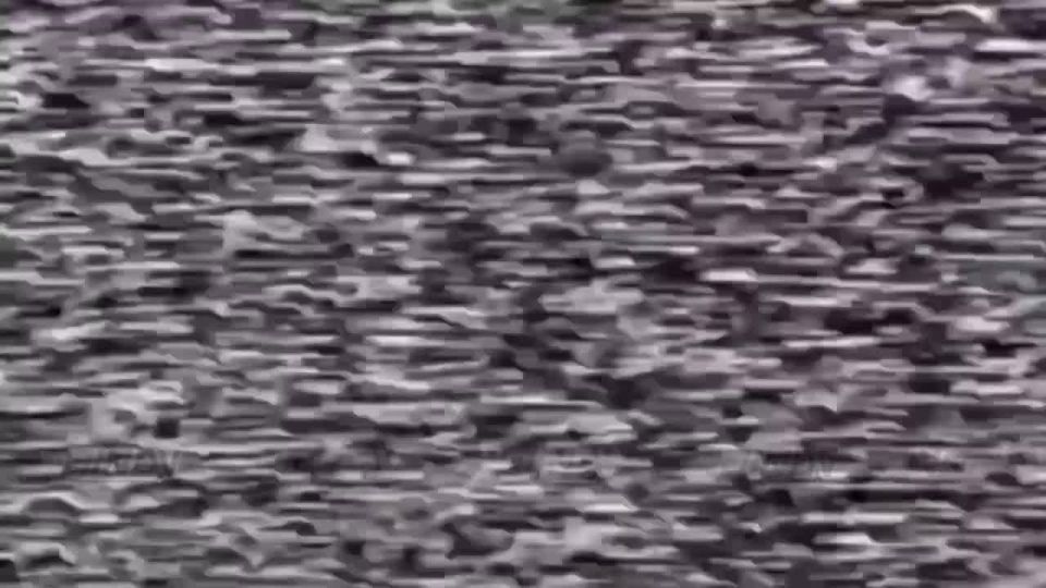  14             5    &quot;&quot;