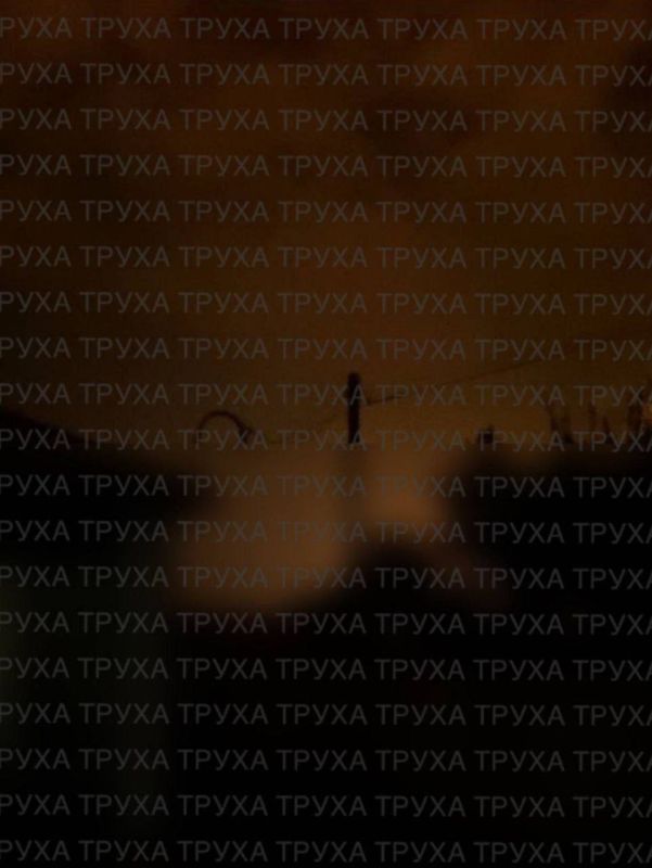  :      , , ,  