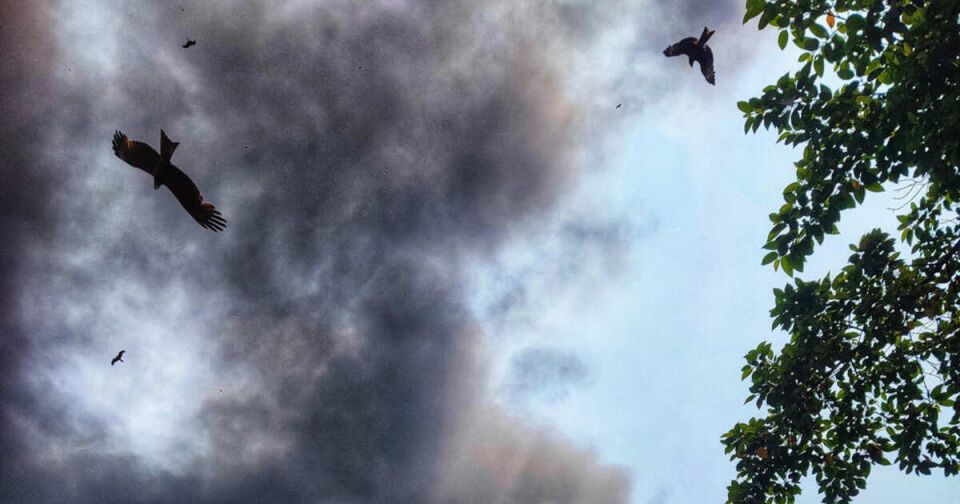 В Кременчуге Полтавской области прогремели взрывы