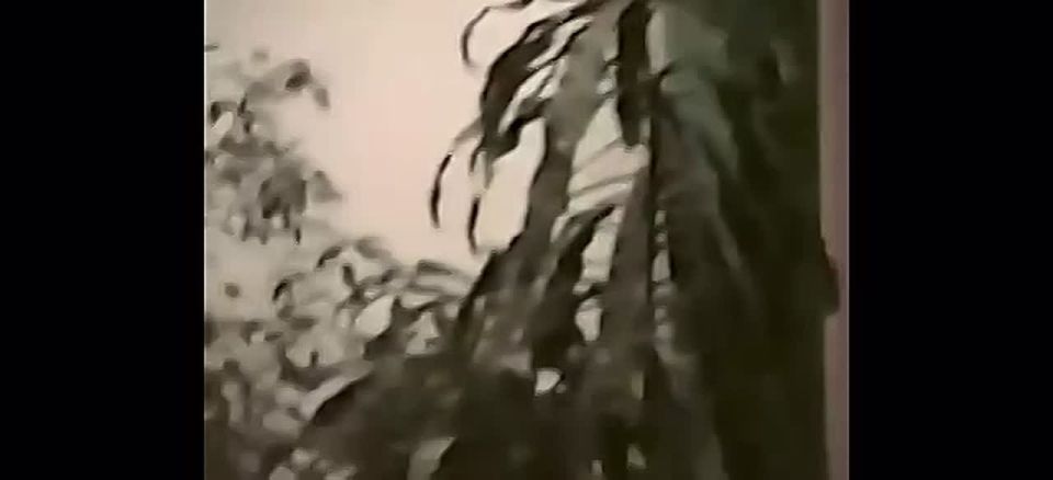 «Строчки из Александра, а не брехню Тараса»- «На независимость Украины»