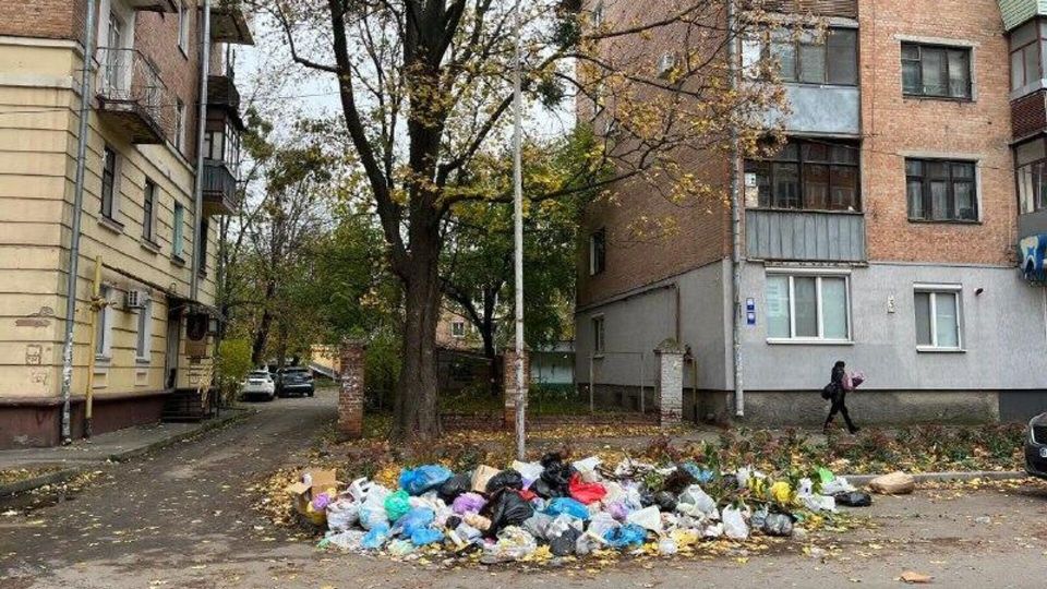  :   *    &quot;&quot; ,    