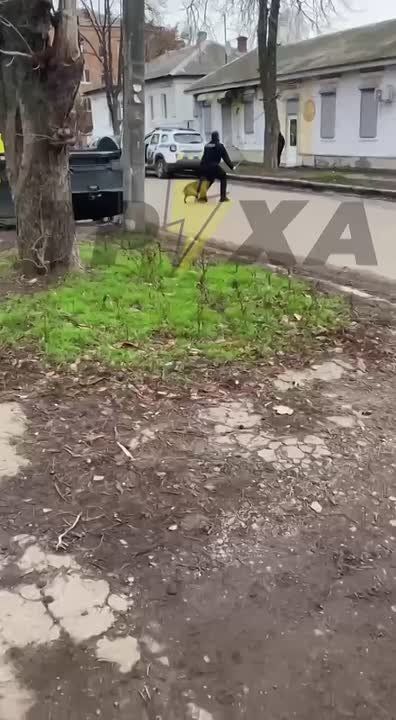 #�������_���_�����������: � ������� ������� ������� ���� �����������, ���� � ���� ������ �������, � ������� �������