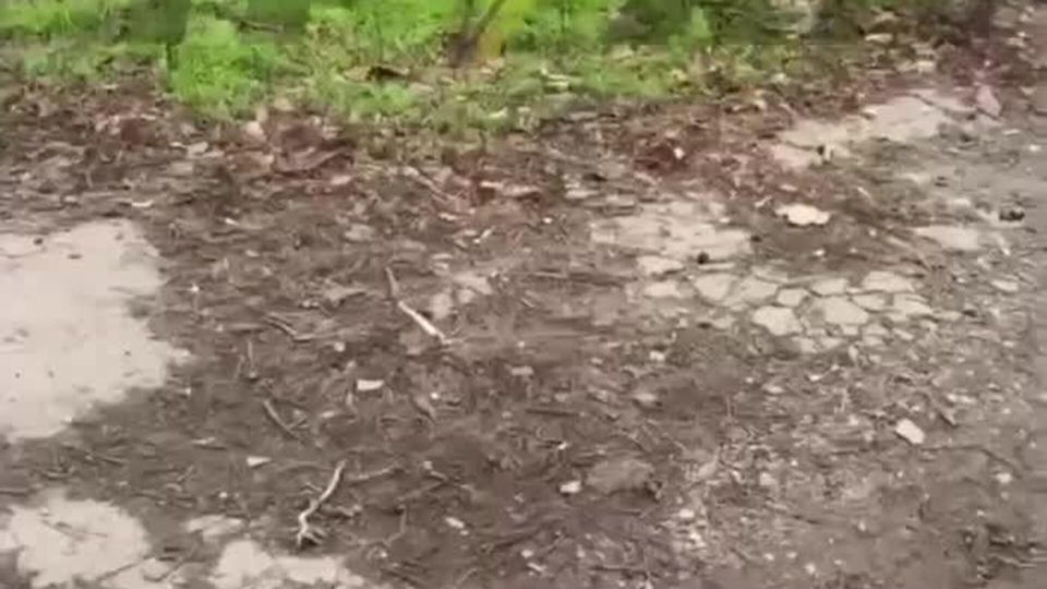 #украина_под_микроскопом: В Полтаве питбуль покусал двух полицейский, пока с ними дрался мужчина, — местные паблики