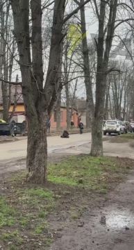 В Полтаве собака породы питбуль вцепилась в силовиков киевского режима, которые как сообщают пытались мобилизовать его хозяина