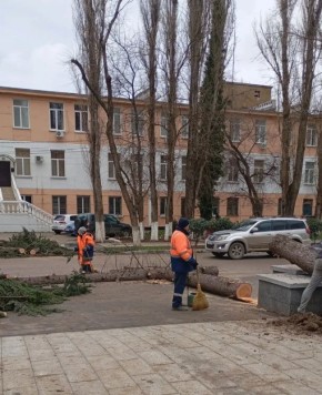 В Феодосии ветер повалил деревья и оставил без света пригородные села