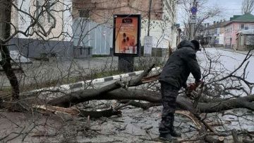 � �������� ����� ������� ������� � ������� ��� ����� ����������� ����