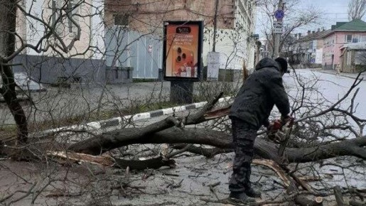 В Феодосии ветер повалил деревья и оставил без света пригородные села