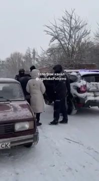 ���������� �������� ������ ���������� "�����������"