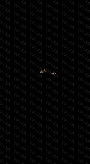 ����� ������ ������� ��������������� ����� �� �������� ���������� �������