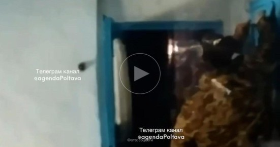 ����������� ����� ���������� �����: ��� ��������� ����� ������� ��� ���������