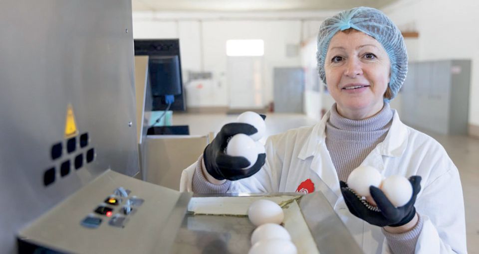 Развитие птицеводства и сельского хозяйства в Крыму: новые проекты и экспорт