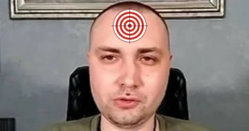 ����� ���������� � ������ 29 ������� � �������� ������ ��������� ���������