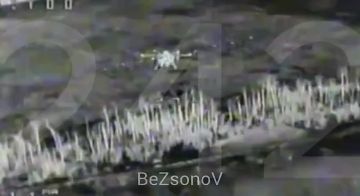 ������ ��������: �������� ��������� ������ "���� ���" ��� ����������� FPV-������ 242 ��� 20 �������������� �������