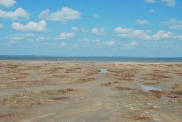 ����� ������ ����������� � ������ �������, �� ����� ������ �������������, �������������� � ����������� �������