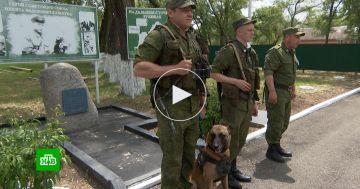 ������ ���� ���� �����: ��� �������� ���������� ������������ �� ������� �������