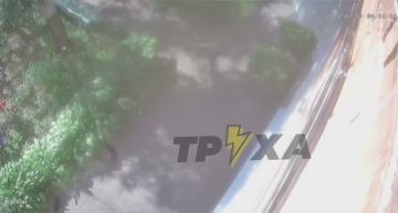 � ������� �� ������ ����������� ��������� ����������, ������� �������� � ������������