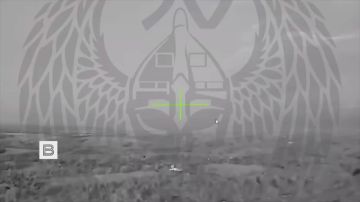 Достаточные редкие кадры применения дронов-камикадзе «Герань-5» операторами 50-й ОБрБпС «Варяг»