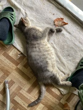 ��������� �������: ������� ������ :. �������� ������ ������ �������� ����� �������, ������ ���� � �����