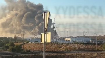 WarGonzo: �� �� ������� ������������� ���� �� �������������� � ������ �������
